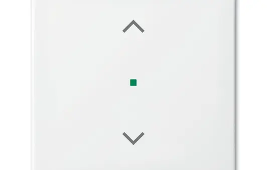 BUSCH-JAEGER Jalousiewippe flex Balance SI 