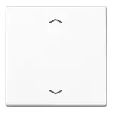 JUNG Steuertaste mit Pfeilsymbolen Serie A 