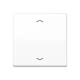 JUNG Steuertaste mit Pfeilsymbolen Serie AS 