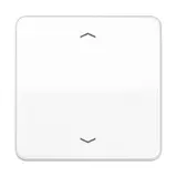 JUNG Steuertaste mit Pfeilsymbolen Serie CD 