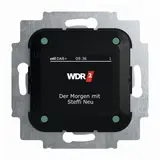 BUSCH-JAEGER Unterputzradio-Einsatz 