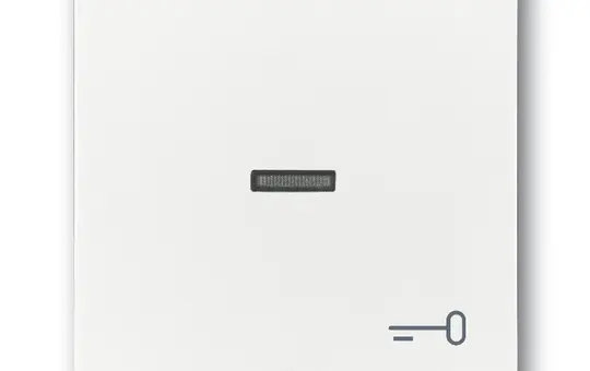 BUSCH-JAEGER 1789TR-84 beschr. Kontrollwippe Future 1-fach, Schlüssel, Fenster, transparent | studioweiß