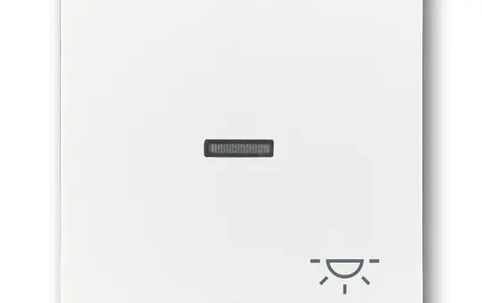 BUSCH-JAEGER 1789LI-84 beschr. Kontrollwippe Future 1-fach, Licht, Fenster, transparent | studioweiß