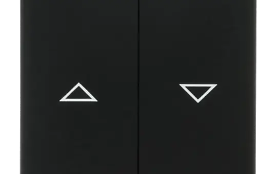 BUSCH-JAEGER 1785 JA-885 Jalousiewippe Future 2-fach | schwarz matt