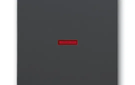 BUSCH-JAEGER 1789-81 Kontrollwippe Future 1-fach, großes Fenster, rot | anthrazit