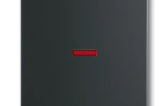 BUSCH-JAEGER 1789-885 Kontrollwippe Future 1-fach, großes Fenster, rot | schwarz matt