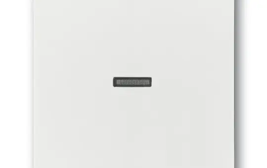 BUSCH-JAEGER 1789N-884 Kontrollwippe Future 1-fach | studioweiß matt