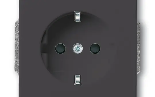 BUSCH-JAEGER 20EUC-81 SCHUKO-Steckdose Future Standard | anthrazit
