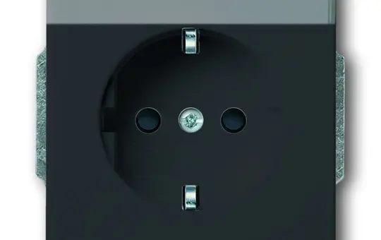 BUSCH-JAEGER 20EUCNB-81 beschr. SCHUKO-Steckdose Future Berührungsschutz | anthrazit