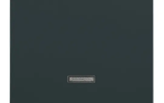 BUSCH-JAEGER 6543-81-101 Tastdimmerabdeckung Future 1-fach | anthrazit