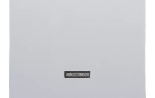 BUSCH-JAEGER 6543-83-101 Tastdimmerabdeckung Future 1-fach | alusilber