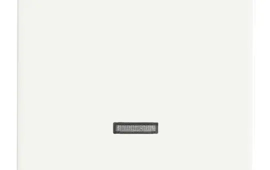 BUSCH-JAEGER 6543-884-101 Tastdimmerabdeckung Future 1-fach | studioweiß matt