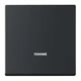 BUSCH-JAEGER 6543-885-101 Tastdimmerabdeckung Future 1-fach | schwarz matt