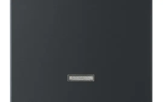 BUSCH-JAEGER 6543-885-101 Tastdimmerabdeckung Future 1-fach | schwarz matt