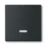 BUSCH-JAEGER 6545-885 Tastdimmerabdeckung Future 2-fach | schwarz matt