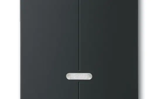 BUSCH-JAEGER 6545-885 Tastdimmerabdeckung Future 2-fach | schwarz matt