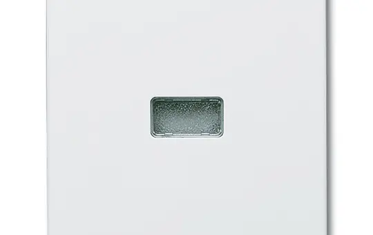 BUSCH-JAEGER 2107-34 Kontrollwippe Allwetter 44 1-fach, Fenster, rot | alpinweiß