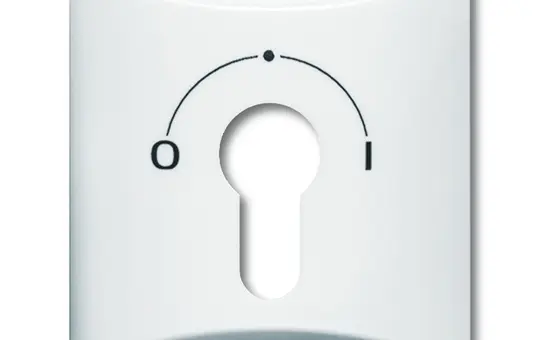 BUSCH-JAEGER 2155SLPZ-34 Schlüsselschalterabd. Allwetter 44 Schlüsselschalter | alpinweiß