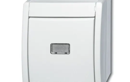 BUSCH-JAEGER 2621WGL-54 beleuchteter Wipptaster Ocean Schließer, mit neutraler Kalotte | alpinweiß