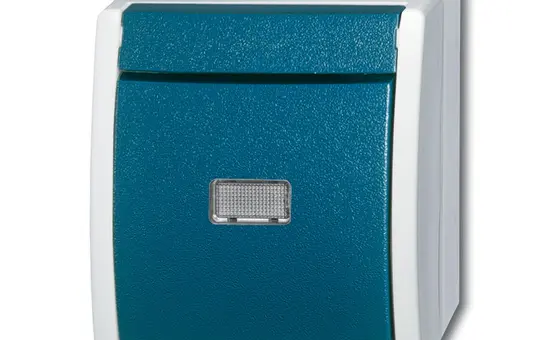 BUSCH-JAEGER 2601/6WGL-53 beleuchteter Wippschalter Ocean Wechselschalter | grau/blaugrün