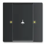 BUSCH-JAEGER 6125/02-885 KNX-Tastsensor-Bedienelement 1-fach | schwarz matt