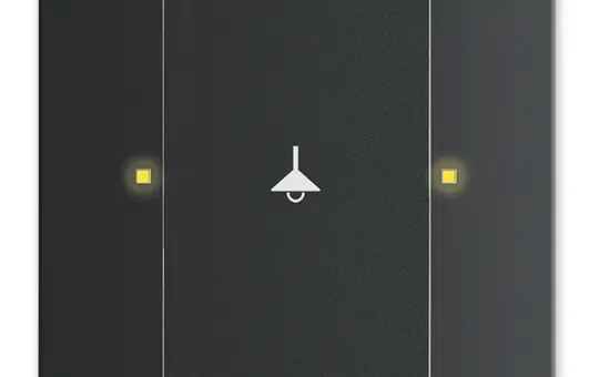 BUSCH-JAEGER 6125/02-885 KNX-Tastsensor-Bedienelement 1-fach | schwarz matt