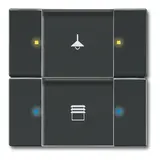 BUSCH-JAEGER 6126/02-81 KNX-Tastsensor-Bedienelement 2-fach | anthrazit