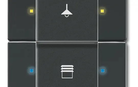 BUSCH-JAEGER 6126/02-81 KNX-Tastsensor-Bedienelement 2-fach | anthrazit