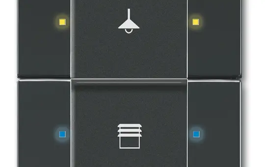 BUSCH-JAEGER 6126/02-885 KNX-Tastsensor-Bedienelement 2-fach | schwarz matt