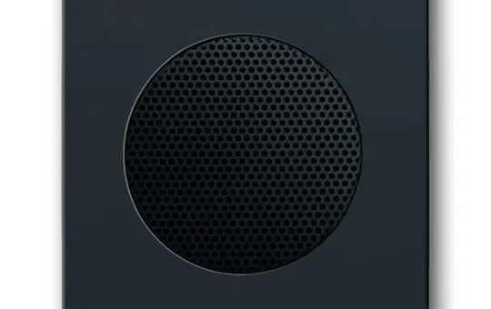 BUSCH-JAEGER 8253-81 Lautsprecherabdeckung Future anthrazit