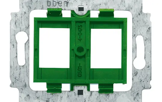 BUSCH-JAEGER 1810 Modular-Jack-Tragring 2-fach | grün