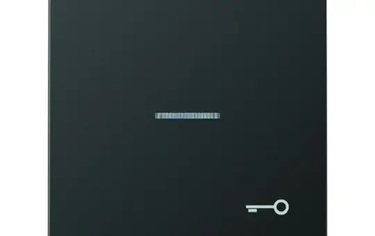 JUNG AL2990KO5TAN beschr. Kontrollwippe Serie LS 1-fach, Schlüssel | anthrazit