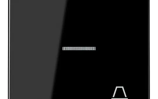 JUNG LS990KO5KSW beschr. Kontrollwippe Serie LS 1-fach, Glocke | schwarz