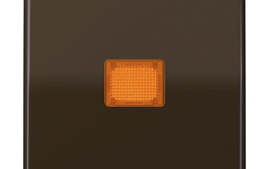 JUNG CD590KOBR Kontrollwippe Serie CD 1-fach | braun