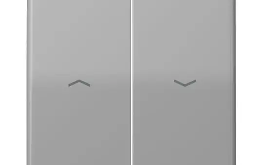 JUNG CD595PBFGR Jalousiewippe Serie CD 2-fach, Thermoplast | grau