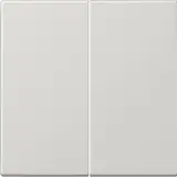 JUNG LS995LG Wippe Serie LS 2-fach | lichtgrau