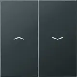 JUNG A595BFPANM Jalousiewippe Serie A 2-fach, Thermoplast | anthrazit matt