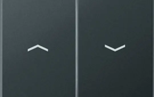 JUNG A595BFPANM Jalousiewippe Serie A 2-fach, Thermoplast | anthrazit matt