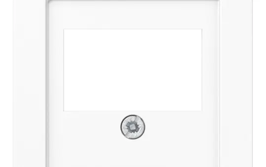 JUNG A569PLTWW Telefonabdeckung Serie A Standard | alpinweiß