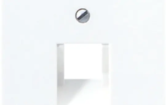 JUNG A569-1BFPLUA Netzwerkabdeckung Serie A 1-fach, Thermoplast | weiß