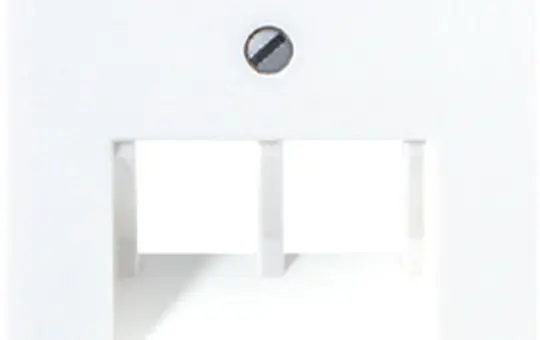 JUNG A569-2BFPLUAWW Netzwerkabdeckung Serie A 2-fach, Thermoplast | alpinweiß