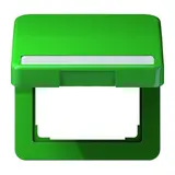 JUNG CD590BFNAKLGN EDV-Klappdeckel mit Schriftfeld Serie CD Standard | grün