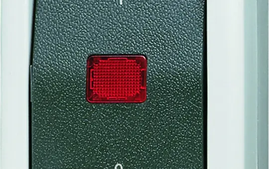 JUNG 802KOW Wipp-Kontrollschalter AP Serie WG 800 Ausschalter, 2-polig