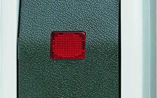 JUNG 806KOW Wipp-Kontrollschalter AP Serie WG 800 Wechselschalter