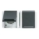 JUNG 8220WTS SCHUKO-Steckdose Serie WG 800 2-fach, Trennsteg