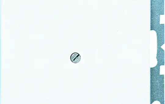 JUNG LS990AWW Leitungsauslass mit Zugentlastung Serie LS Standard | alpinweiß