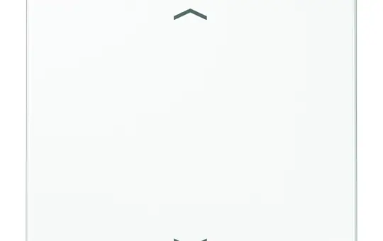 JUNG LS990PWW beschr. Wippe Serie LS 1-fach, Pfeile | alpinweiß