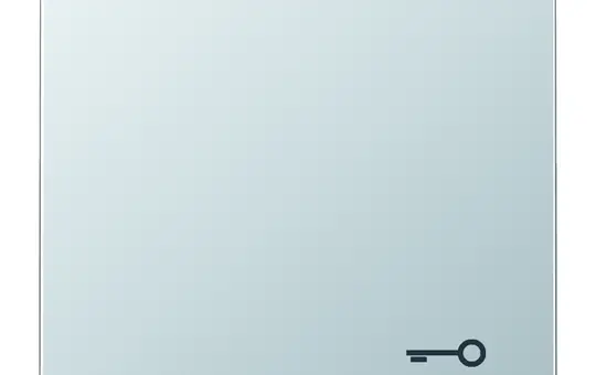 JUNG AL2990T beschr. Wippe Serie LS 1-fach, Schlüssel | aluminium