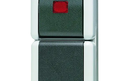 JUNG 876KOW SCHUKO-Steckdose Serie WG 600 1-fach, 16 A, Kontrollschalter | grau