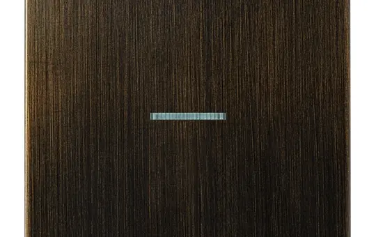 JUNG ME2990KO5AT Kontrollwippe Serie LS 1-fach | messing antik